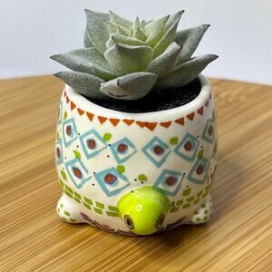 Natural life Blue Green Cutest Little Turtle Mini Faux Succulent Decor